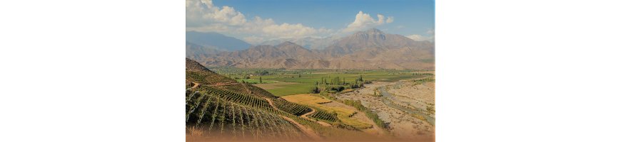 vin vins chili chilien La vallée de Rapel